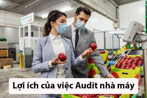 Hình ảnh minh họa lợi ích của việc audit nhà máy: đảm bảo chất lượng sản phẩm, nâng cao hiệu quả quản lý, giảm thiểu rủi ro trong sản xuất.