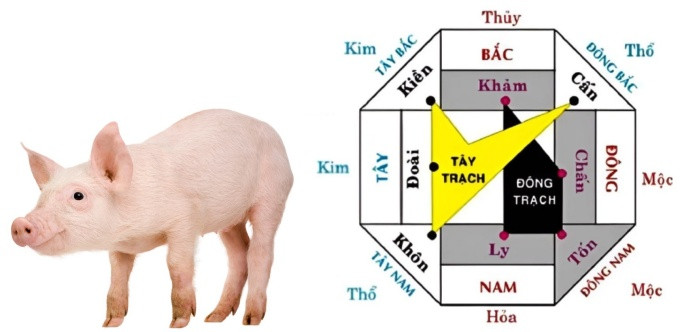 Ảnh minh họa các con số may mắn cho tuổi Đinh Hợi 2007