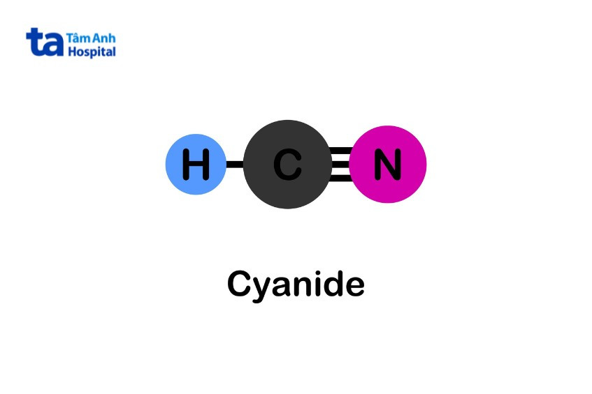 Estructura molecular del cianuro