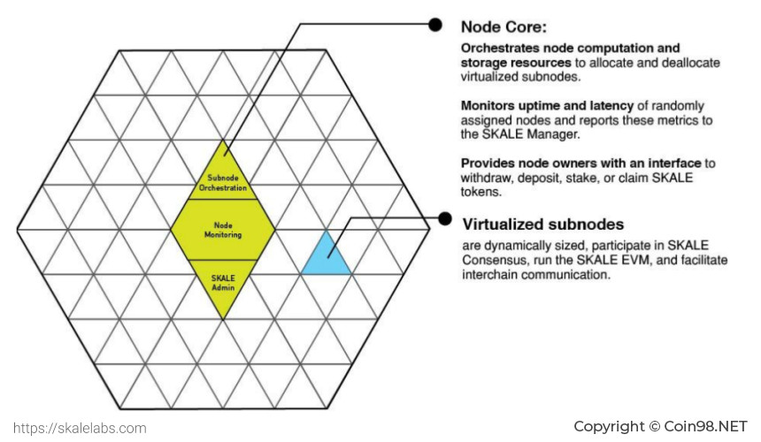 Architectuur van een Skale Node