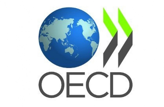 Biểu tượng Tổ chức OECD (Organization for Economic Cooperation and Development), thể hiện sứ mệnh hợp tác và phát triển kinh tế toàn cầu, logo OECD là gì, tổ chức kinh tế quốc tế.