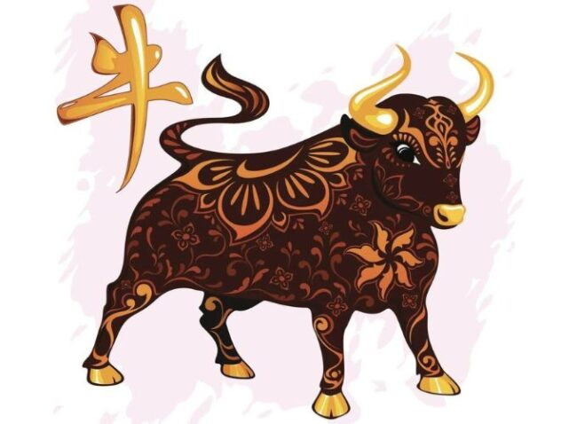 Người sinh năm 2009 là tuổi con Trâu, biểu tượng của sự cần cù và kiên nhẫn