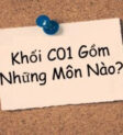Các môn học thuộc tổ hợp C01