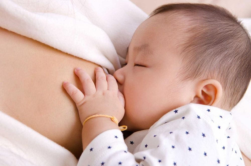 Sữa non chứa một kho tàng dinh dưỡng vô cùng quý giá, vượt trội hơn hẳn so với sữa trưởng thành.