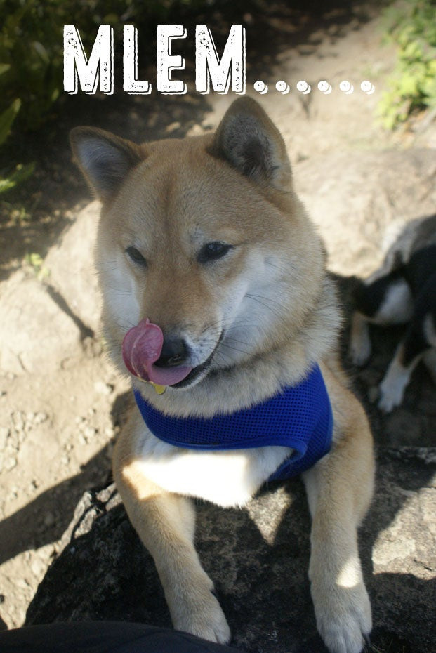 Mlem Mlem Là Gì