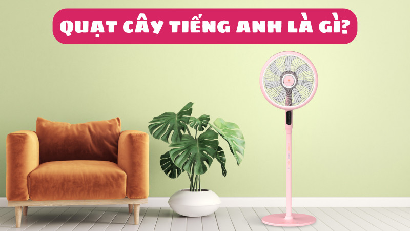 Món cà ri cay nồng với ớt đỏ