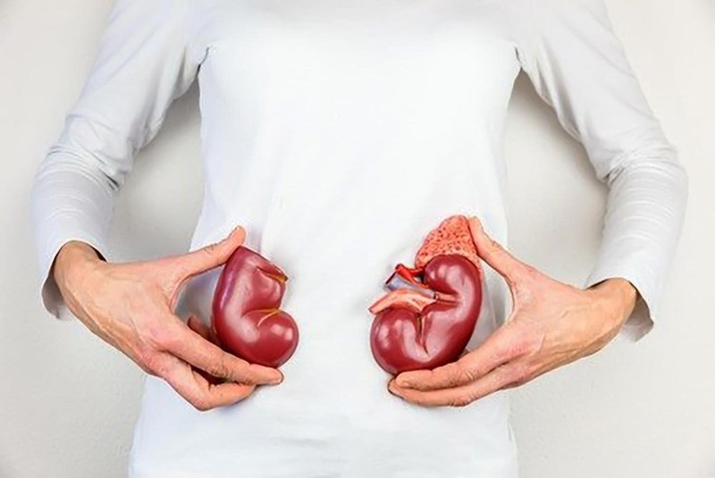 Xét nghiệm Ure máu giúp đánh giá tình trạng chức năng của thận 