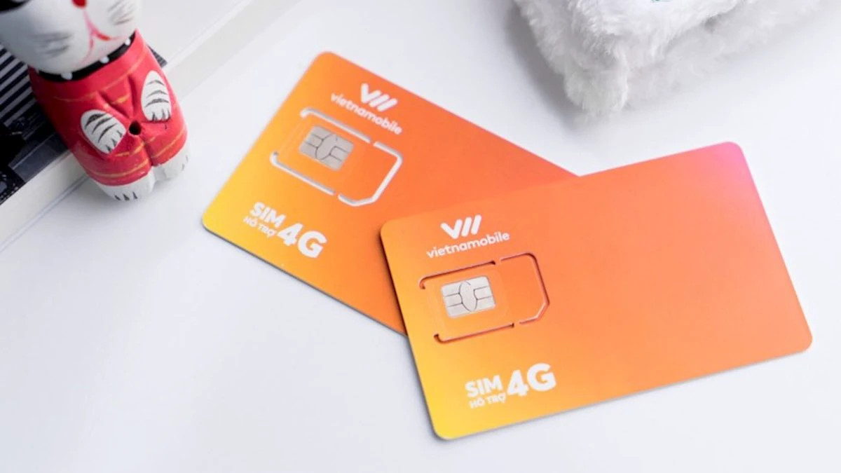 Cách chọn mua sim số đẹp đầu 0923? Ảnh minh họa các loại sim số