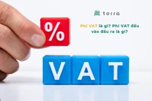 VAT là gì? Phí VAT đầu vào đầu ra là gì?