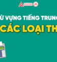 thuế thu nhập doanh nghiệp tiếng trung là gì