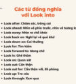 Giải mã ý nghĩa cốt lõi của Into