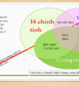 Sao Tử Vi nhập Mệnh