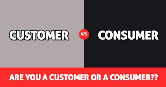 phan-biet-consumer-va-customer