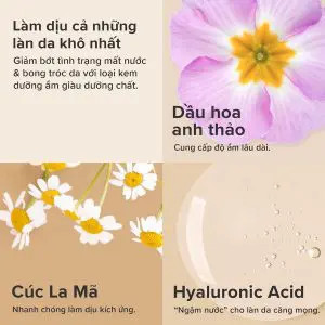 Moisturizer giúp làm dịu da và giảm kích ứng, đặc biệt là đối với da nhạy cảm hoặc da bị tổn thương.