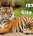 Sinh năm 1974 mệnh gì?