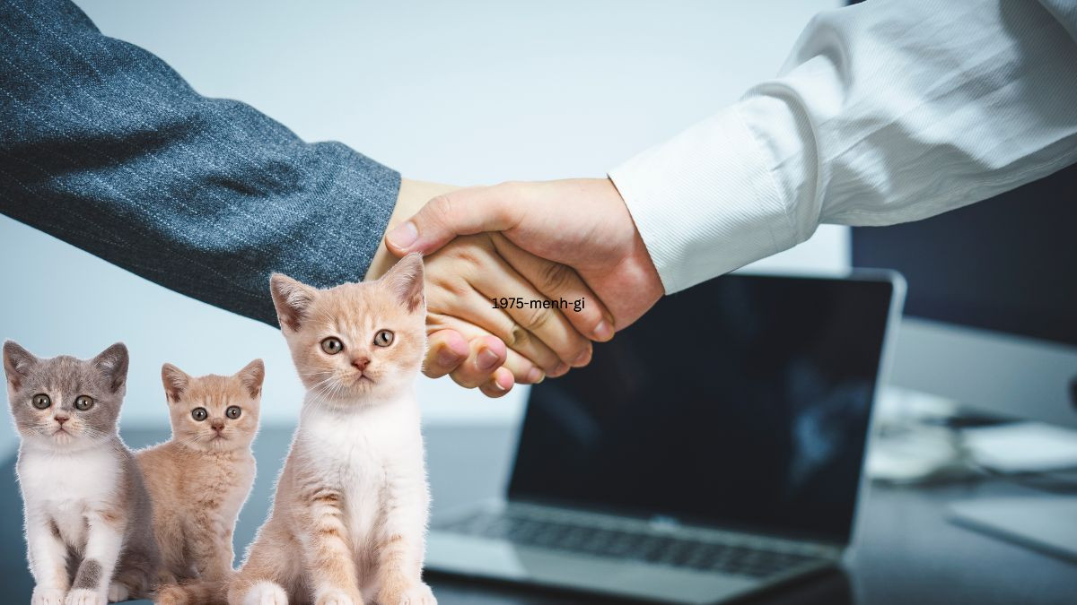 Ất Mão sinh năm 1975 hợp tuổi nà o?