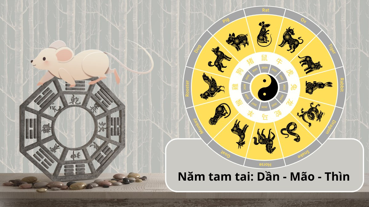 tính tam tai người sinh năm 1984
