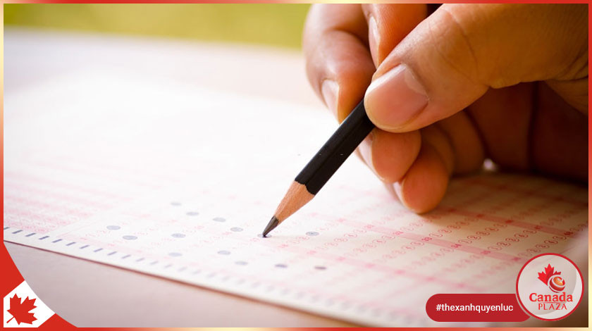 Luyện thi IELTS để cải thiện trình độ ngoại ngữ