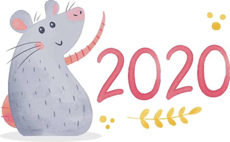 Sinh năm 2020 hợp hướng nào?