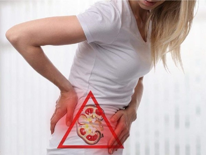 Các Bệnh Lý Về Thận Làm Tăng Nồng Độ Creatinin Máu