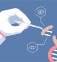 Xét nghiệm PCR là kỹ thuật khuếch đại DNA
