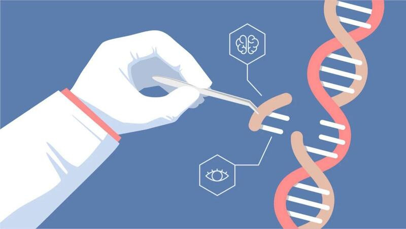Xét nghiệm PCR là kỹ thuật khuếch đại DNA