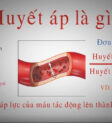 Giải thích về khái niệm huyết áp: Máu từ tim chảy đi tới các bộ phận của cơ thể thông qua động mạch và tĩnh mạch
