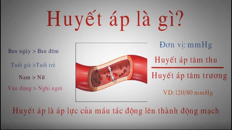 Giải thích về khái niệm huyết áp: Máu từ tim chảy đi tới các bộ phận của cơ thể thông qua động mạch và tĩnh mạch