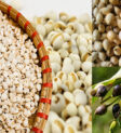 Hạt bo bo có hình bầu dục, màu trắng ngà hoặc vàng nhạt, được bao bọc bởi một lớp vỏ trấu cứng