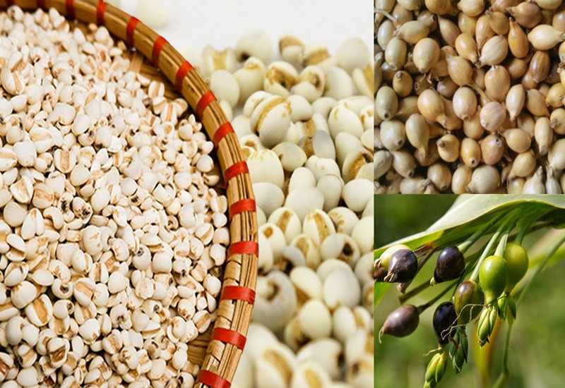 Hạt bo bo có hình bầu dục, màu trắng ngà hoặc vàng nhạt, được bao bọc bởi một lớp vỏ trấu cứng