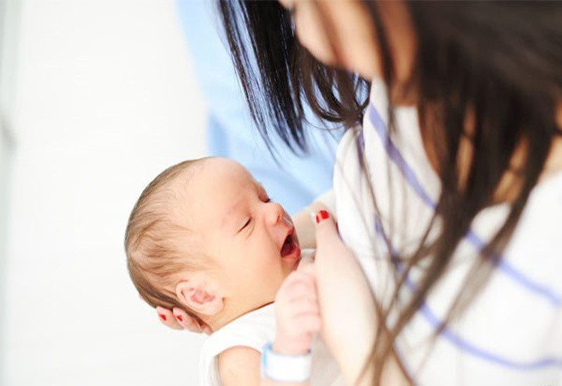 Hạt bo bo có thể chế biến thành nhiều món ăn ngon và bổ dưỡng
