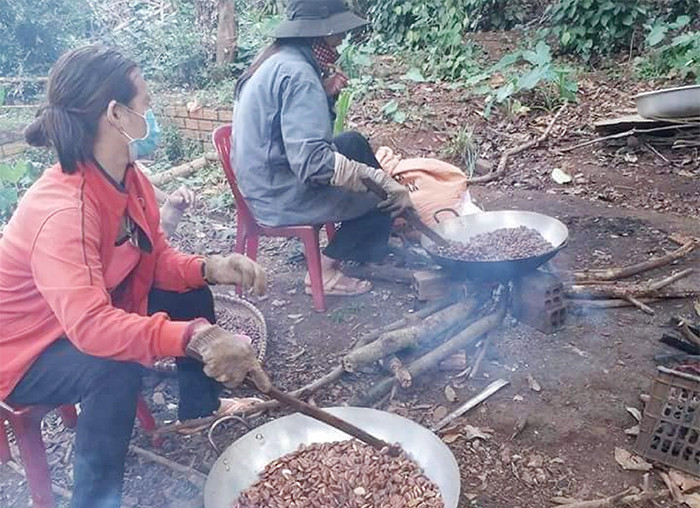 Bóng Cây Kơ Nia Che Mát Buôn Làng, Gợi Nhớ Về Một Tây Nguyên Yên Bình