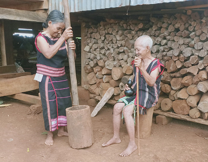 Hạt Kơ Nia Rang Thơm Lừng, Món Quà Của Núi Rừng Tây Nguyên