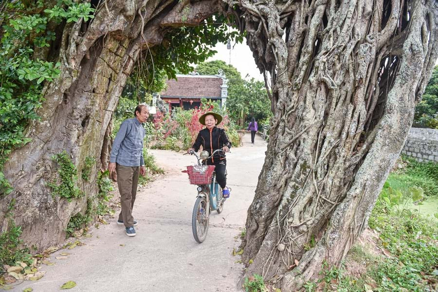 Cổng làng truyền thống Việt Nam