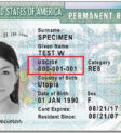 Tìm Alien Registration Number trên Thẻ Xanh