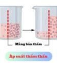 Áp suất thẩm thấu trong ẩm thực