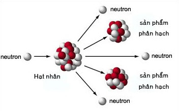 Phản ứng phân hạch hạt nhân uranium-235 với neutron, tạo ra các hạt nhân nhẹ hơn và neutron mới.