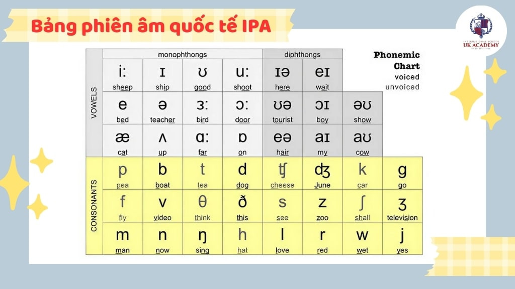 Bảng Phiên Âm Quốc Tế IPA Cho Người Học Tiếng Anh
