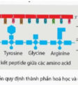 Dịch mã trong ẩm thực giúp tối ưu hóa trải nghiệm ẩm thực