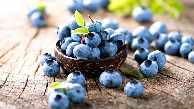 Quả blueberry tươi ngon với lớp phấn trắng đặc trưng