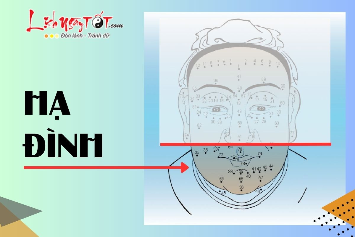 Cằm Đầy Đặn Là Đặc Điểm Của Hạ Đình Tốt, Tượng Trưng Cho Cuộc Sống Sung Túc Về Già