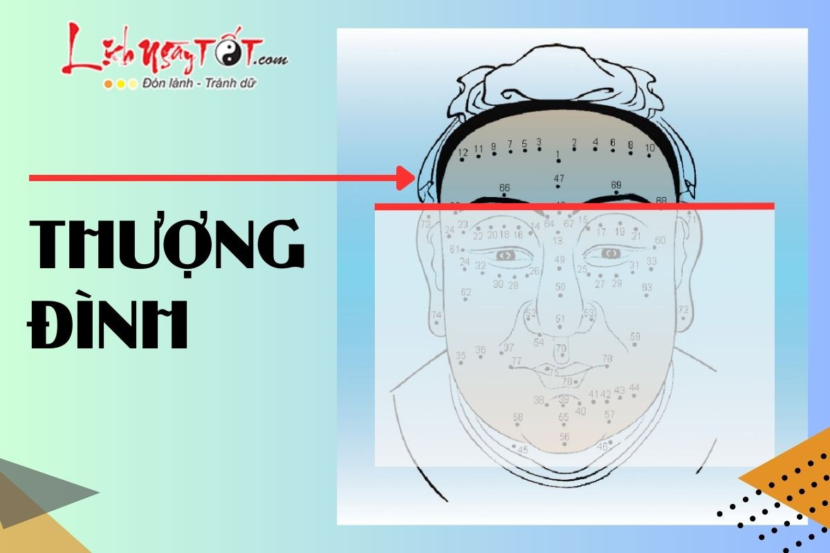 Trán Cao Rộng Là Dấu Hiệu Của Thượng Đình Tốt, Thể Hiện Trí Tuệ Uyên Bác