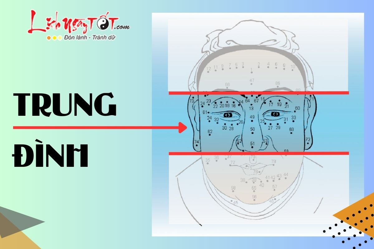 Sống Mũi Cao Thẳng Là Yếu Tố Quan Trọng Khi Xem Trung Đình, Báo Hiệu Sự Nghiệp Phát Triển