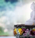 buddha-5686016_1280.jpg