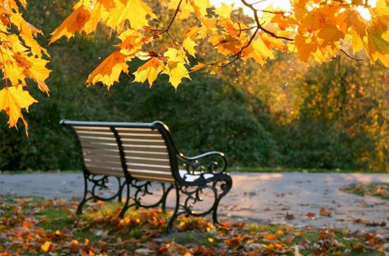 Vơ bột mì nhẹ nhàng để bánh không bị chai