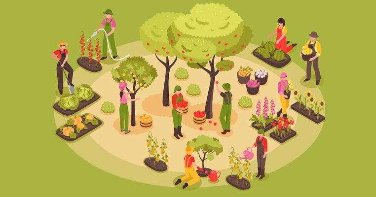 Cách bón thúc cho các loại cây trồng khác nhau