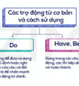 Trợ động từ nguyên thể