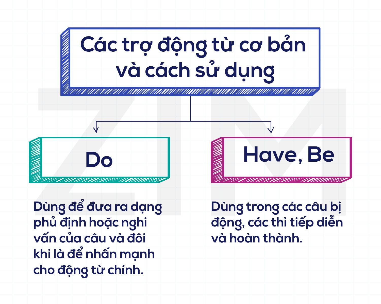Trợ động từ nguyên thể