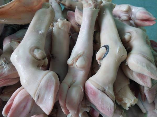 Dựng dê là phần nào của con dê? Phần từ đầu gối xuống đến móng