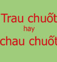 Món ăn được trau chuốt tỉ mỉ
